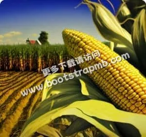 致力于可持续发展与环境保护 - 雨燕直播2