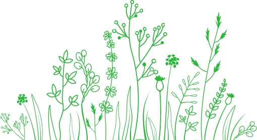 获取最新资讯，订阅我们的通讯 - 雨燕直播2